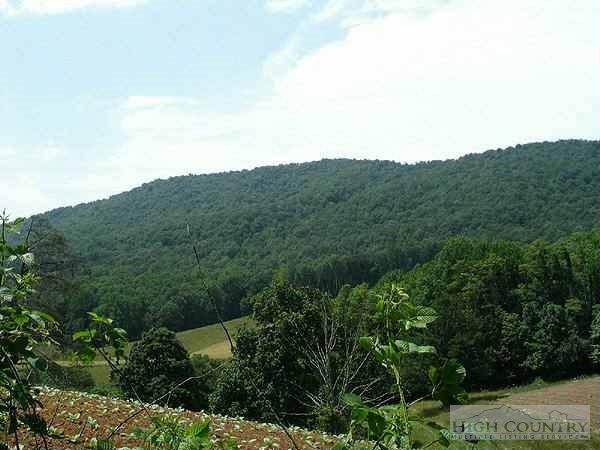 Lot 7-8 Blackberry Spring Road Sugar Grove, NC 28679 - Photo 1 of 1 Gallery Image 1