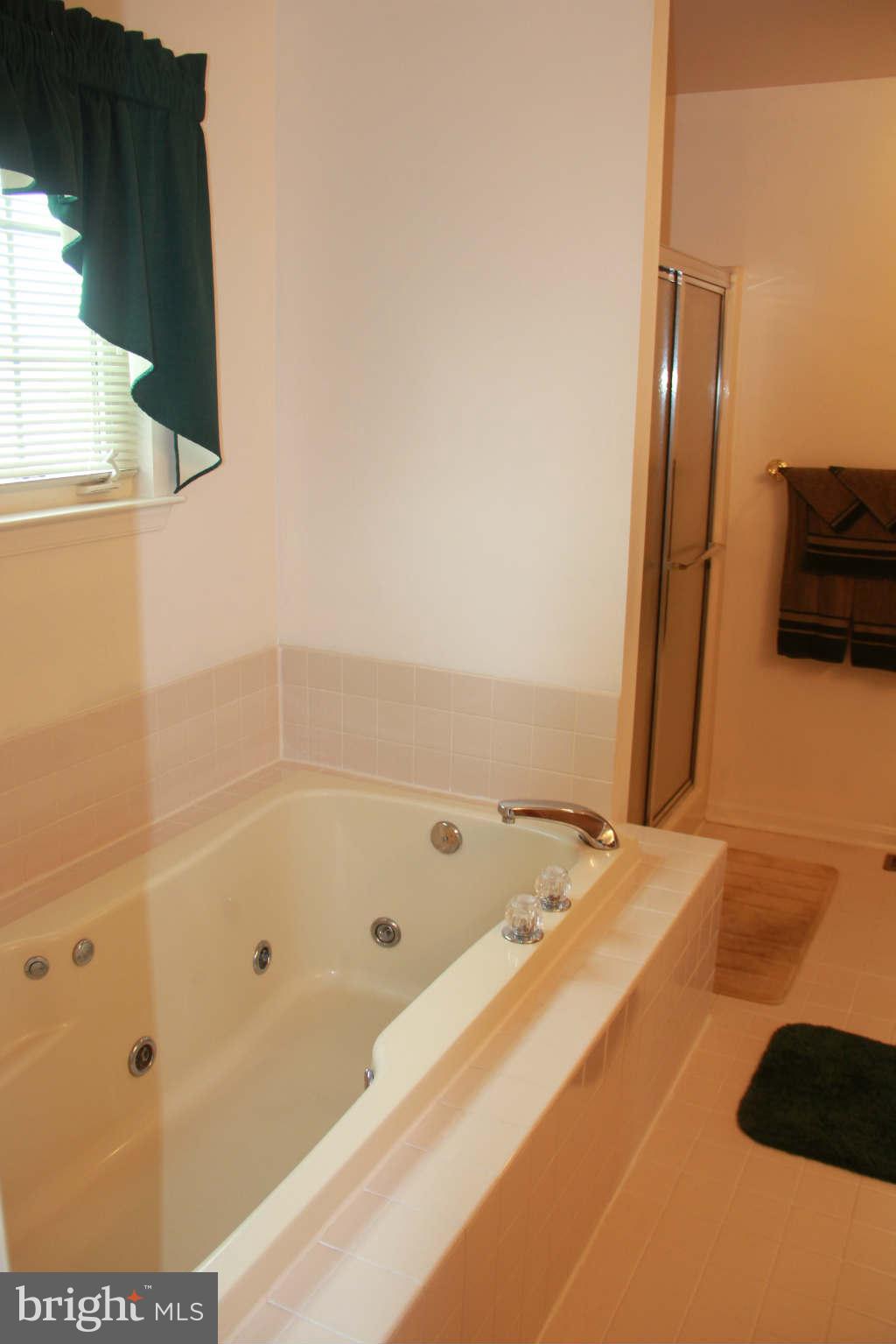 5530 Apperson Road White Marsh, MD 21162 - Photo 23 of 25 Bath