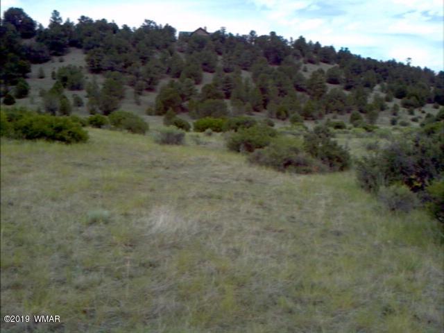 Lot 38 Cr2225 Road Nutrioso, AZ 85932 - Photo 1 of 8 a view of a dry yard with trees in the background