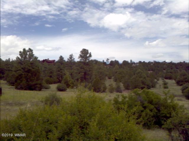 Lot 38 Cr2225 Road Nutrioso, AZ 85932 - Photo 2 of 8 a view of a bunch of trees in background
