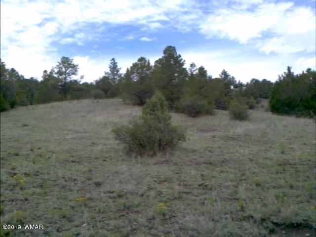 Lot 38 Cr2225 Road Nutrioso, AZ 85932 - Photo 3 of 8 a view of a field with trees in the background
