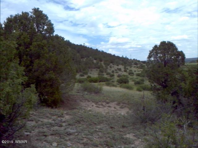 Lot 38 Cr2225 Road Nutrioso, AZ 85932 - Photo 4 of 8 a view of a dry yard with trees