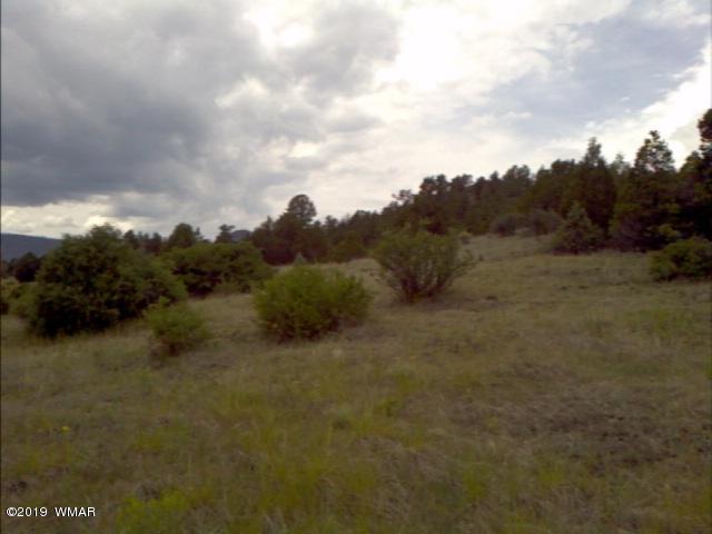 Lot 38 Cr2225 Road Nutrioso, AZ 85932 - Photo 5 of 8 a view of a dry yard with trees