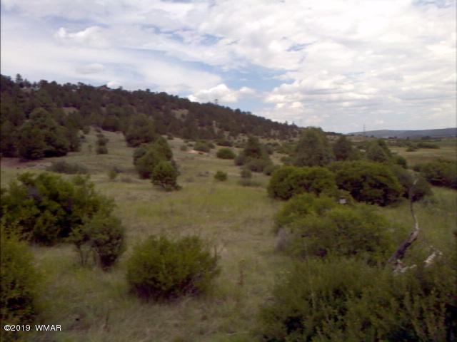Lot 38 Cr2225 Road Nutrioso, AZ 85932 - Photo 6 of 8 a view of a lot of trees in a field