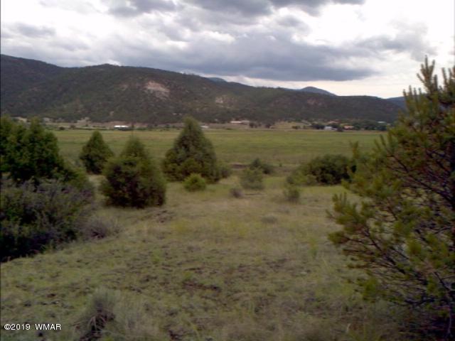 Lot 38 Cr2225 Road Nutrioso, AZ 85932 - Photo 7 of 8 a view of a town with mountains in the background