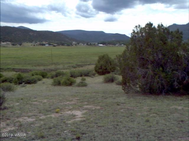 Lot 38 Cr2225 Road Nutrioso, AZ 85932 - Photo 8 of 8 a view of an outdoor space with mountain view