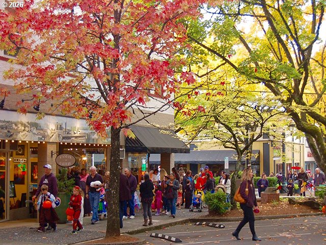2311 Southwest 6th Avenue, Unit 19 Camas, WA 98607 - Photo 41 of 46