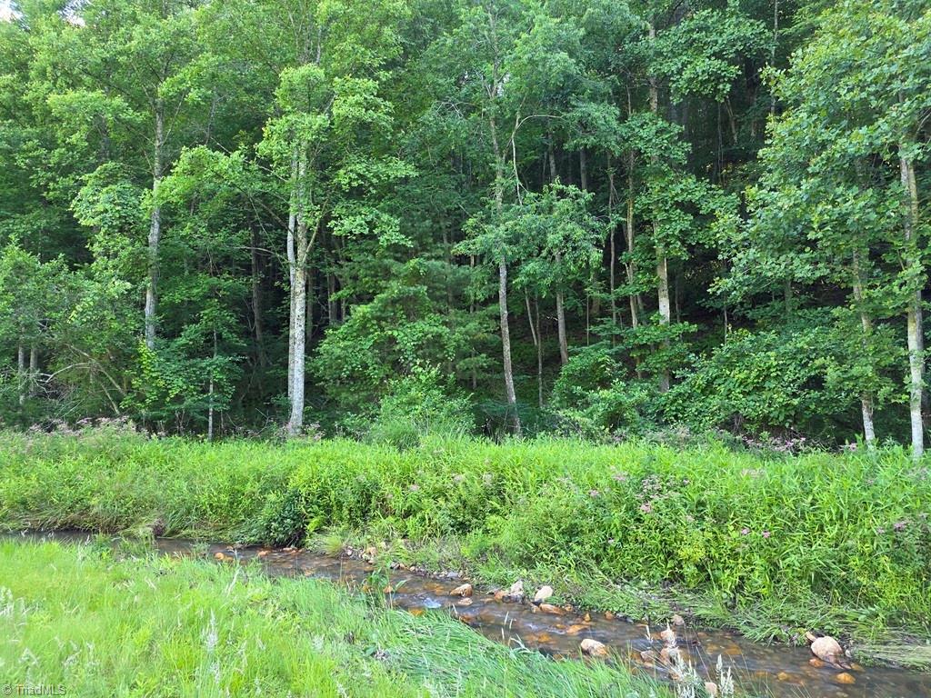 3205 Sheets Gap Road Millers Creek, NC 28651 - Photo 11 of 46