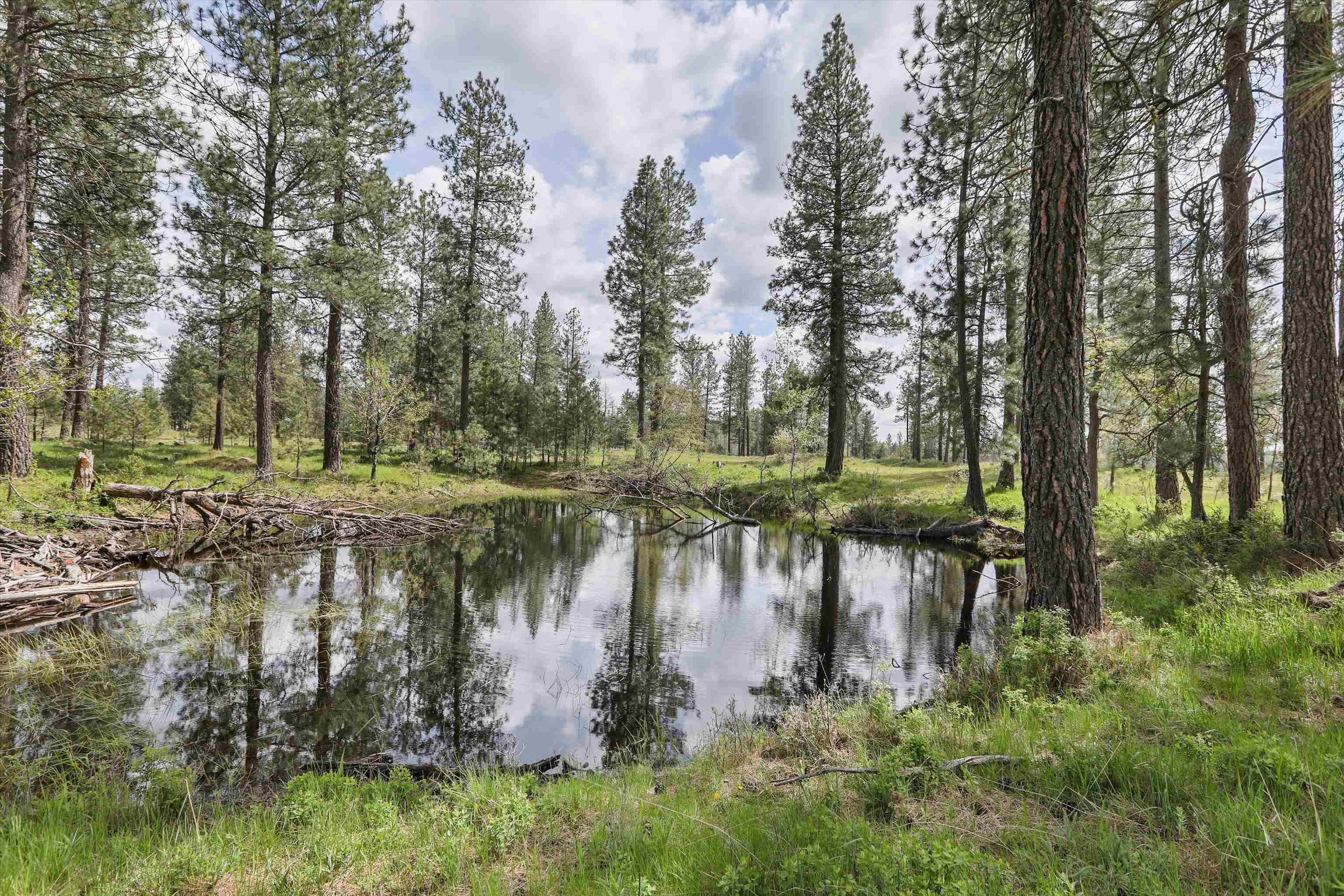 Nka South Malloy Prairie Road, Unit PARCEL F 03032 9053 Cheney, WA 99004 - Photo 6 of 8