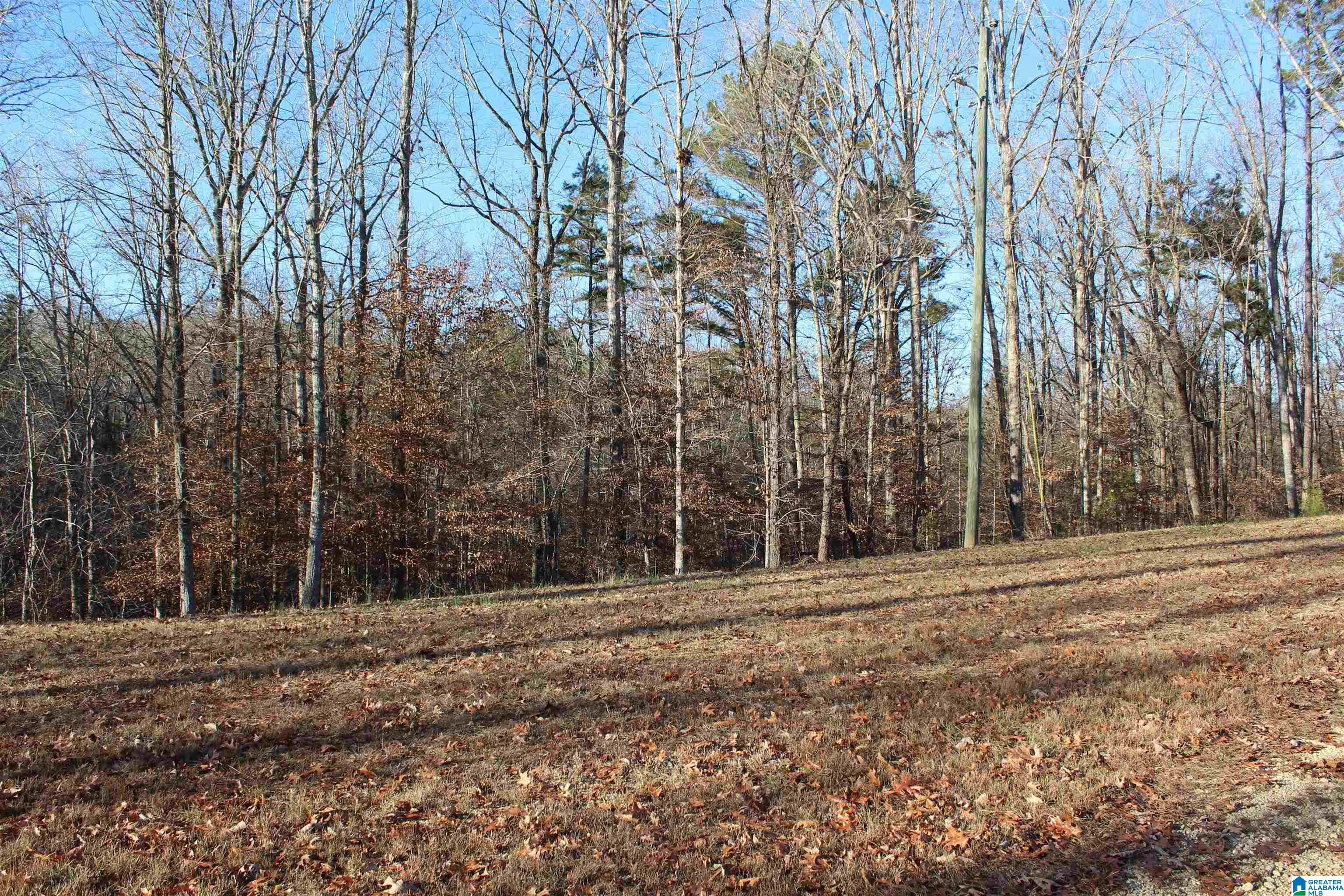 589 Morris Road Pell City, AL 35128 - Photo 27 of 29