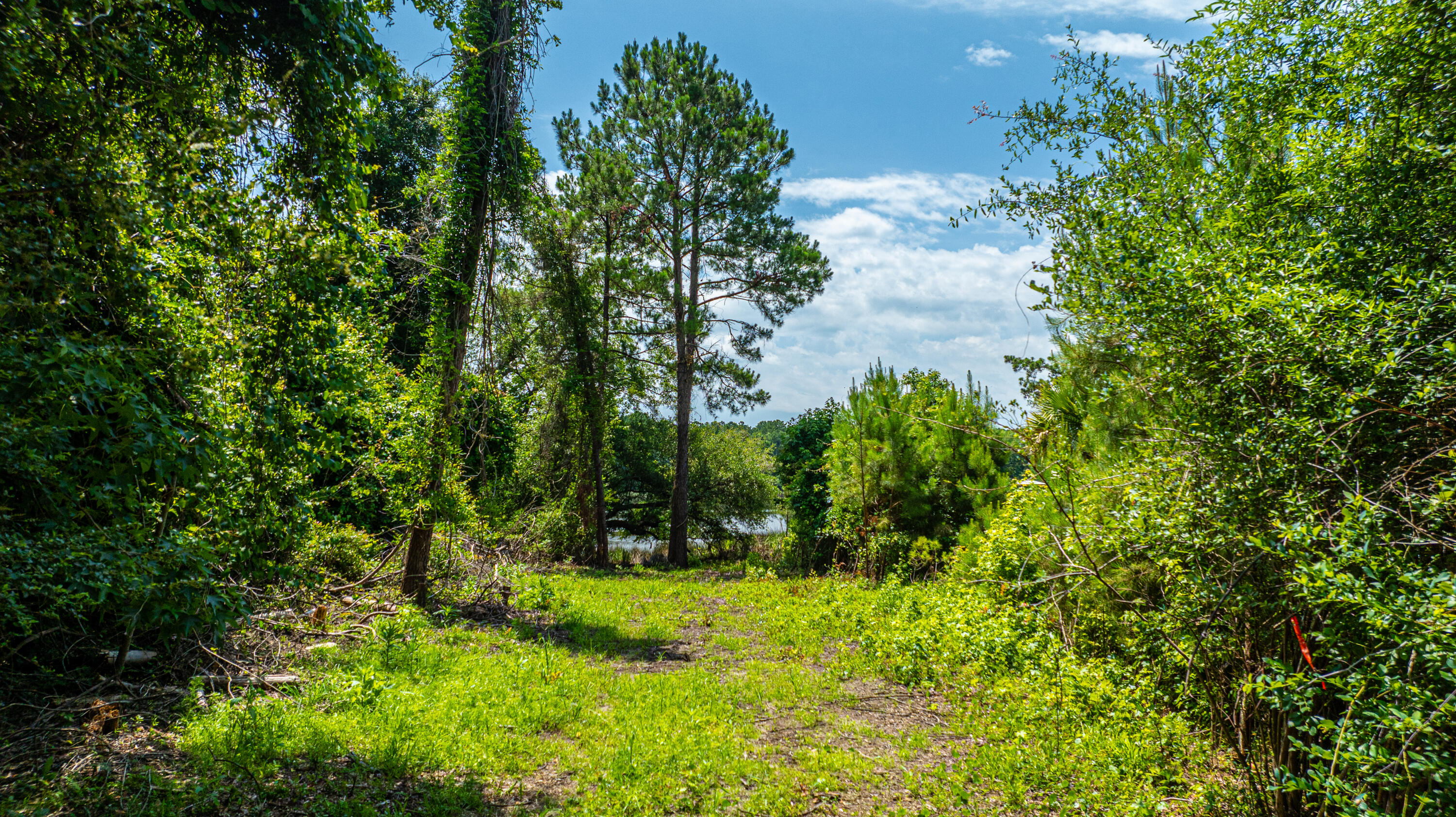 6076 Overlook Road Johns Island, SC 29455 - Photo 11 of 50 6076OverlookRd002