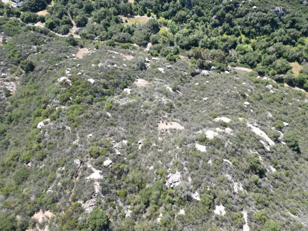 0 Rockhouse Road Ramona, CA 92065 - Photo 11 of 21 a view of a forest with a tree
