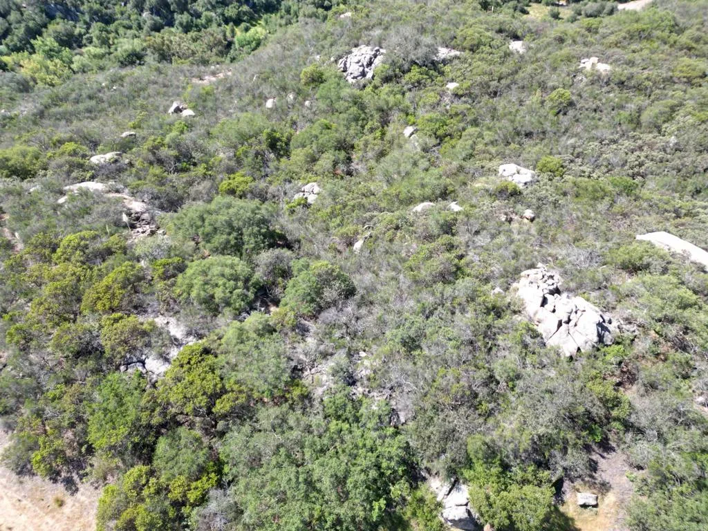 0 Rockhouse Road Ramona, CA 92065 - Photo 13 of 21 a view of a tree in a field