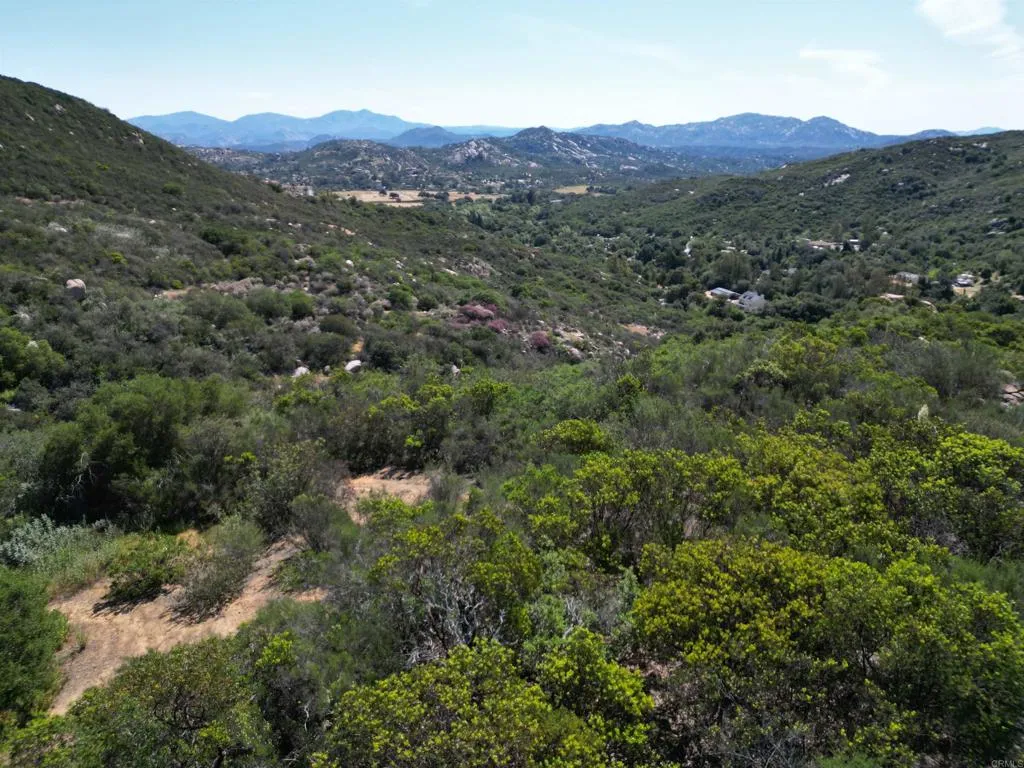 0 Rockhouse Road Ramona, CA 92065 - Photo 19 of 21 a view of a lush green forest with mountains in the background