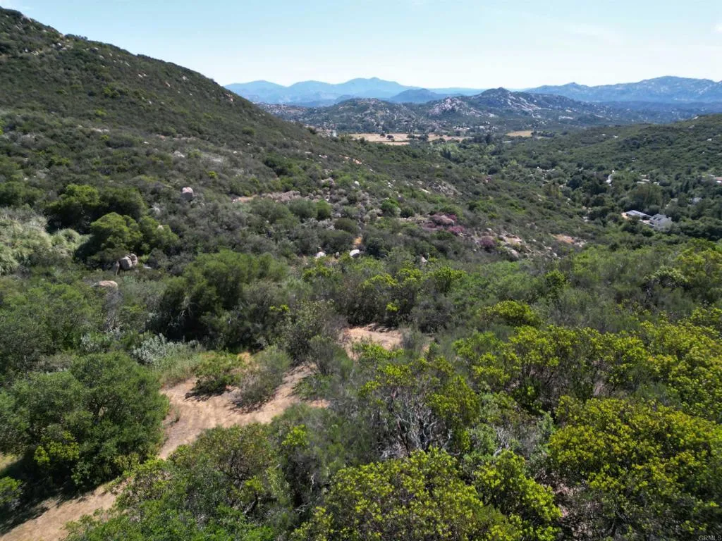 0 Rockhouse Road Ramona, CA 92065 - Photo 20 of 21 a view of a lush green forest with mountains in the background
