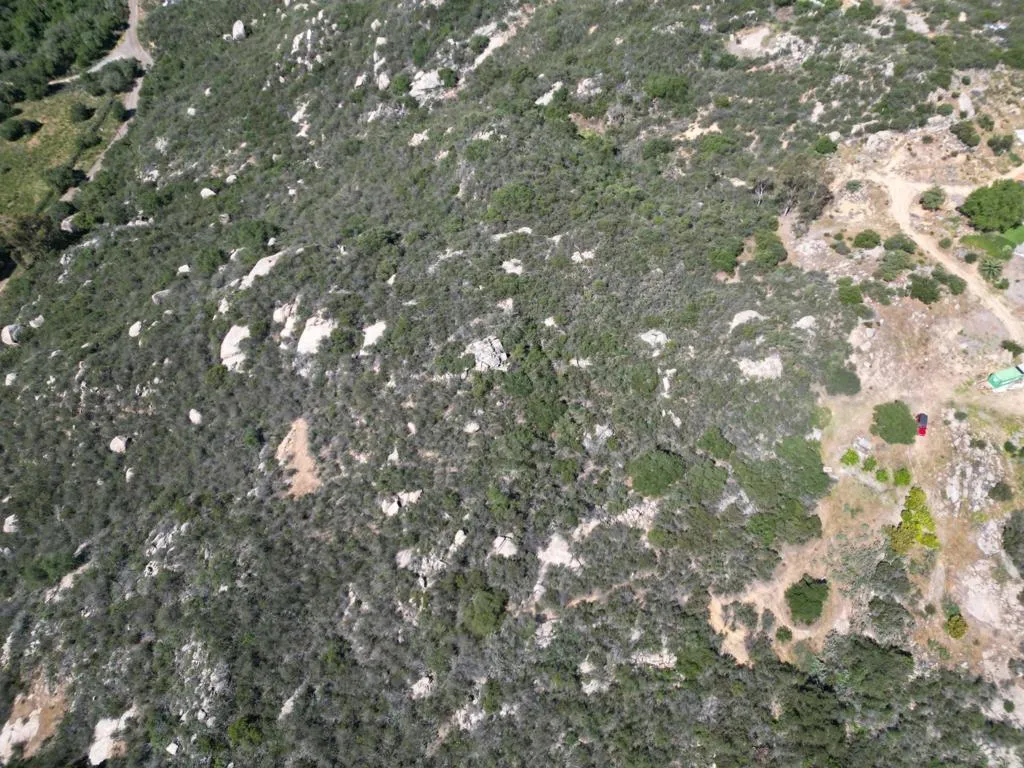 0 Rockhouse Road Ramona, CA 92065 - Photo 10 of 21 a picture of tree