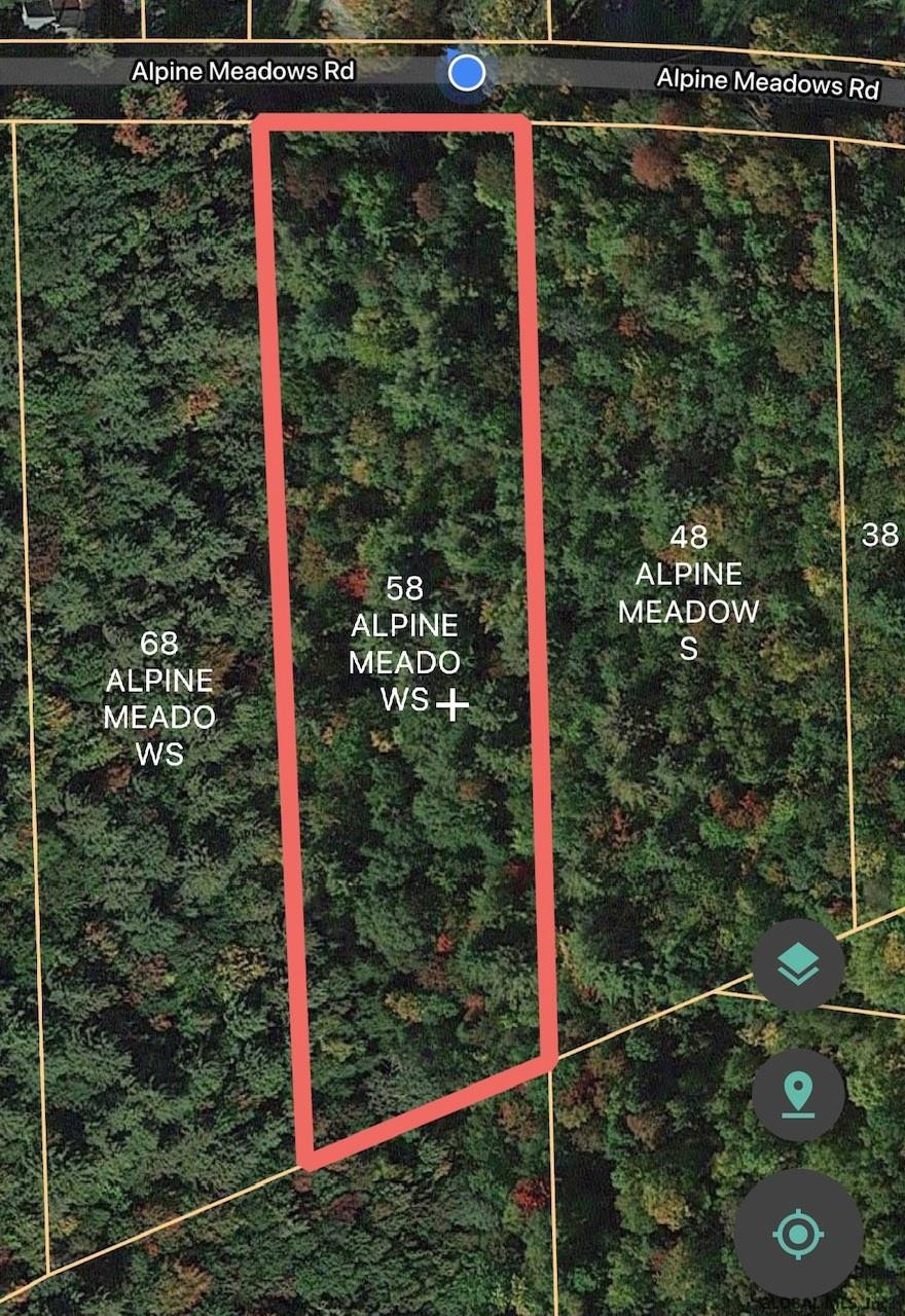 58 Alpine Meadows Road Greenfield, NY 12859 - Photo 1 of 2 Photo 1