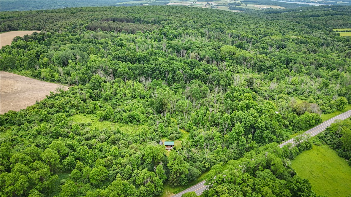 5401 Old Bath Road Barrington, NY 14837 - Photo 45 of 50
