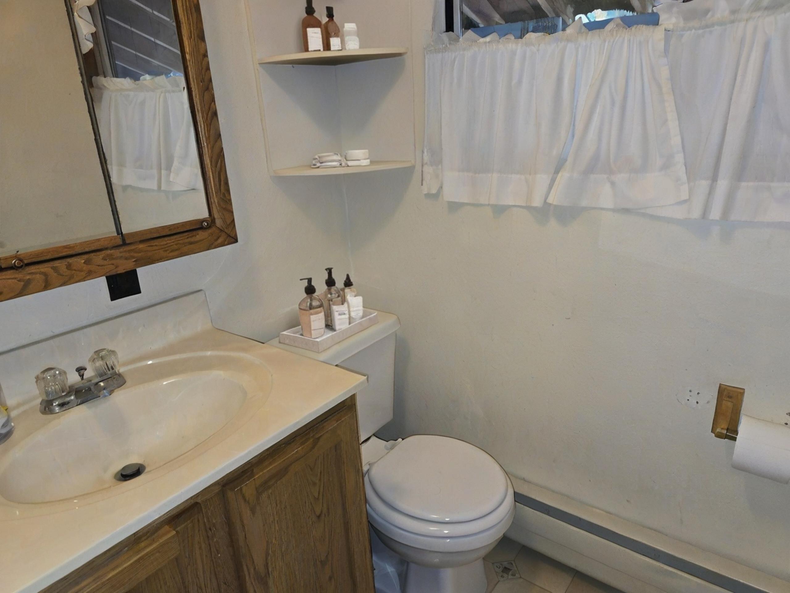 7207 Frontenac Road Indian River, MI 49749 - Photo 7 of 33 7207 Frontenac BathroomAI