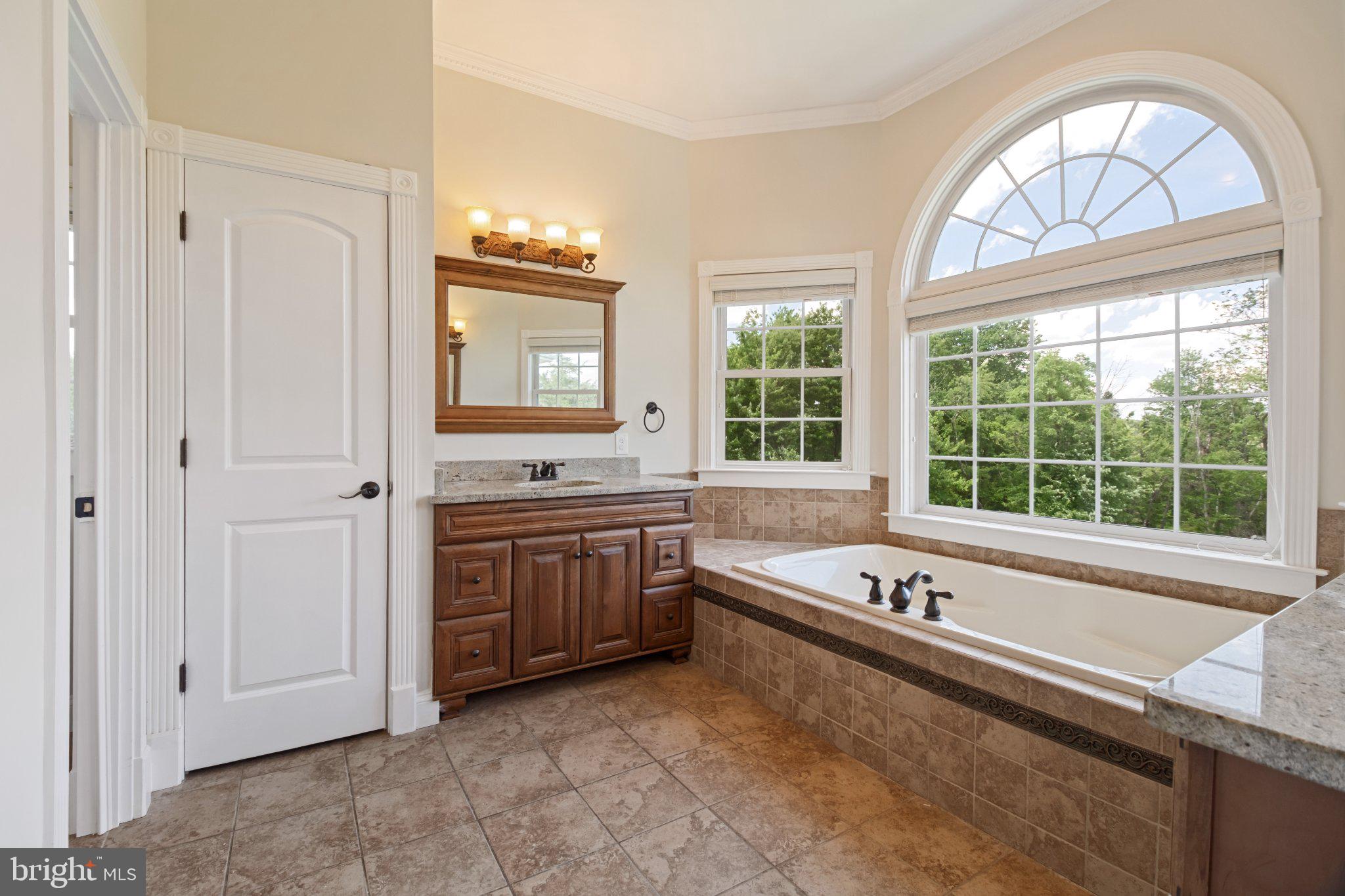 7147 Linganore Road New Market, MD 21774 - Photo 20 of 44 Elegant bath with scenic views.