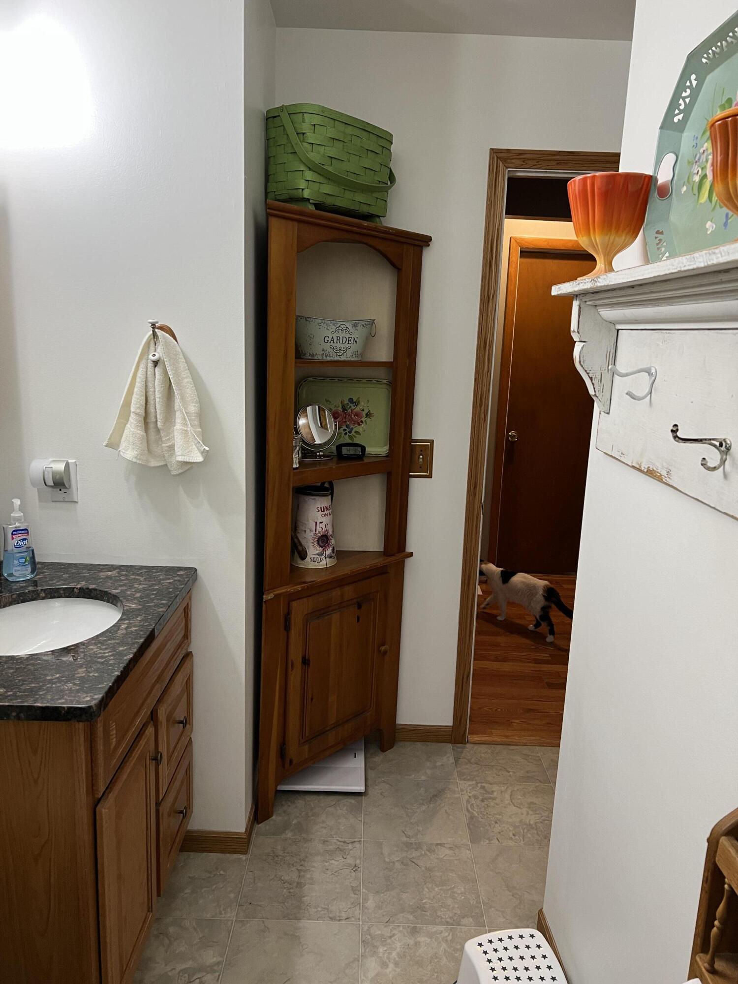 5175 Foss Road Akron, MI 48701 - Photo 14 of 50 15. Main Bathroom