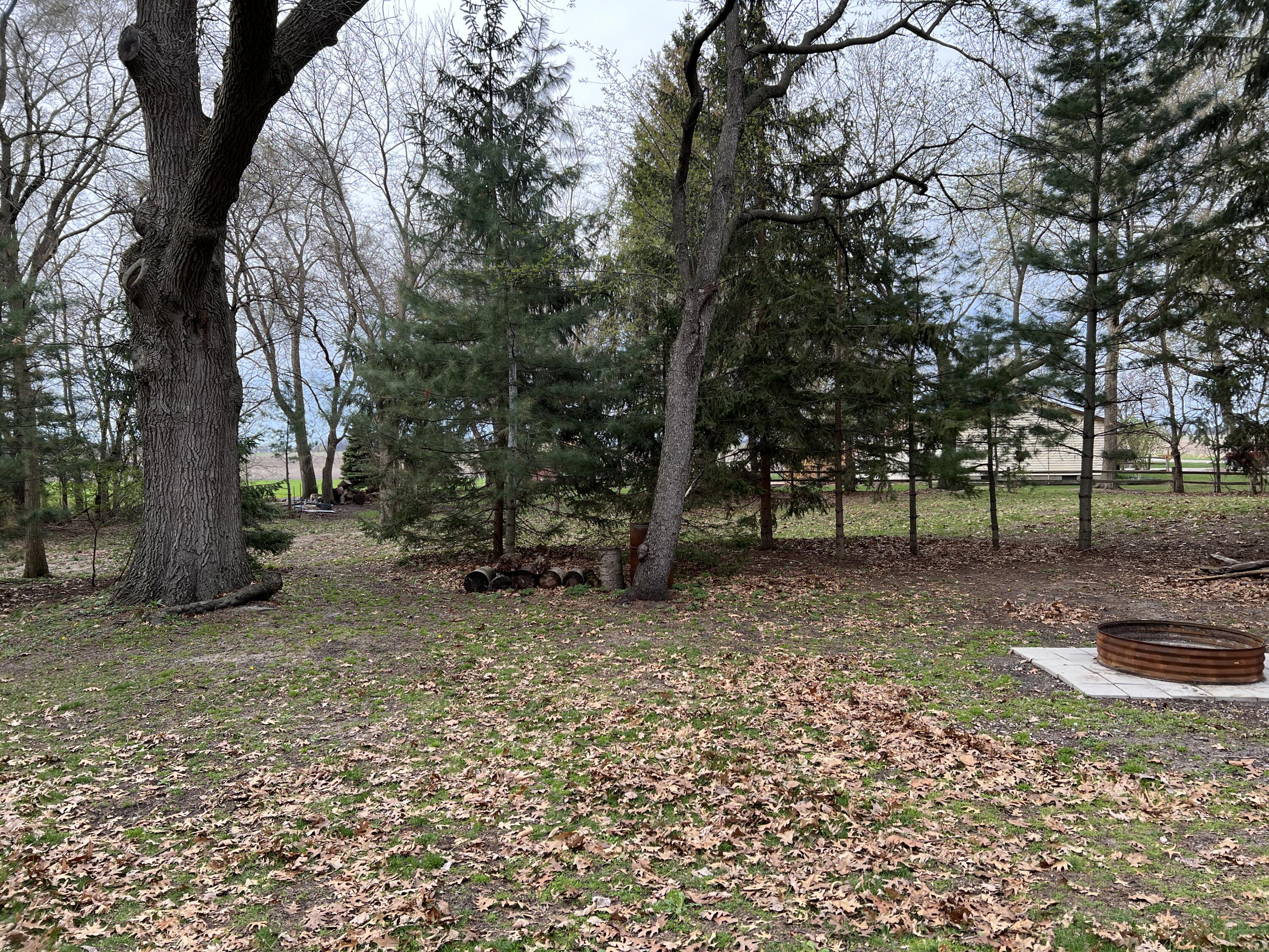 5175 Foss Road Akron, MI 48701 - Photo 45 of 50 45. surrounding property (2)