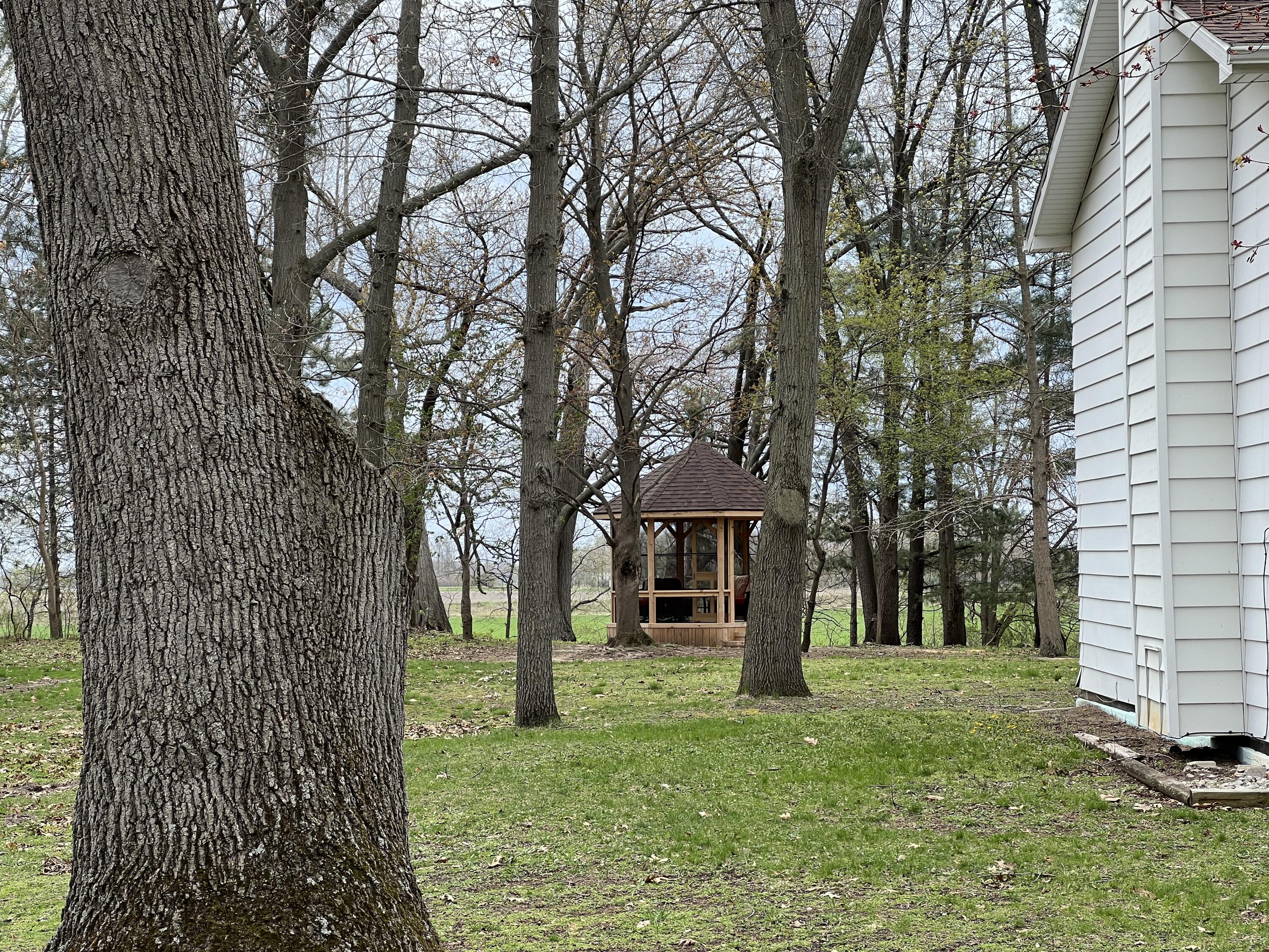 5175 Foss Road Akron, MI 48701 - Photo 48 of 50 48. surrounding property (5)