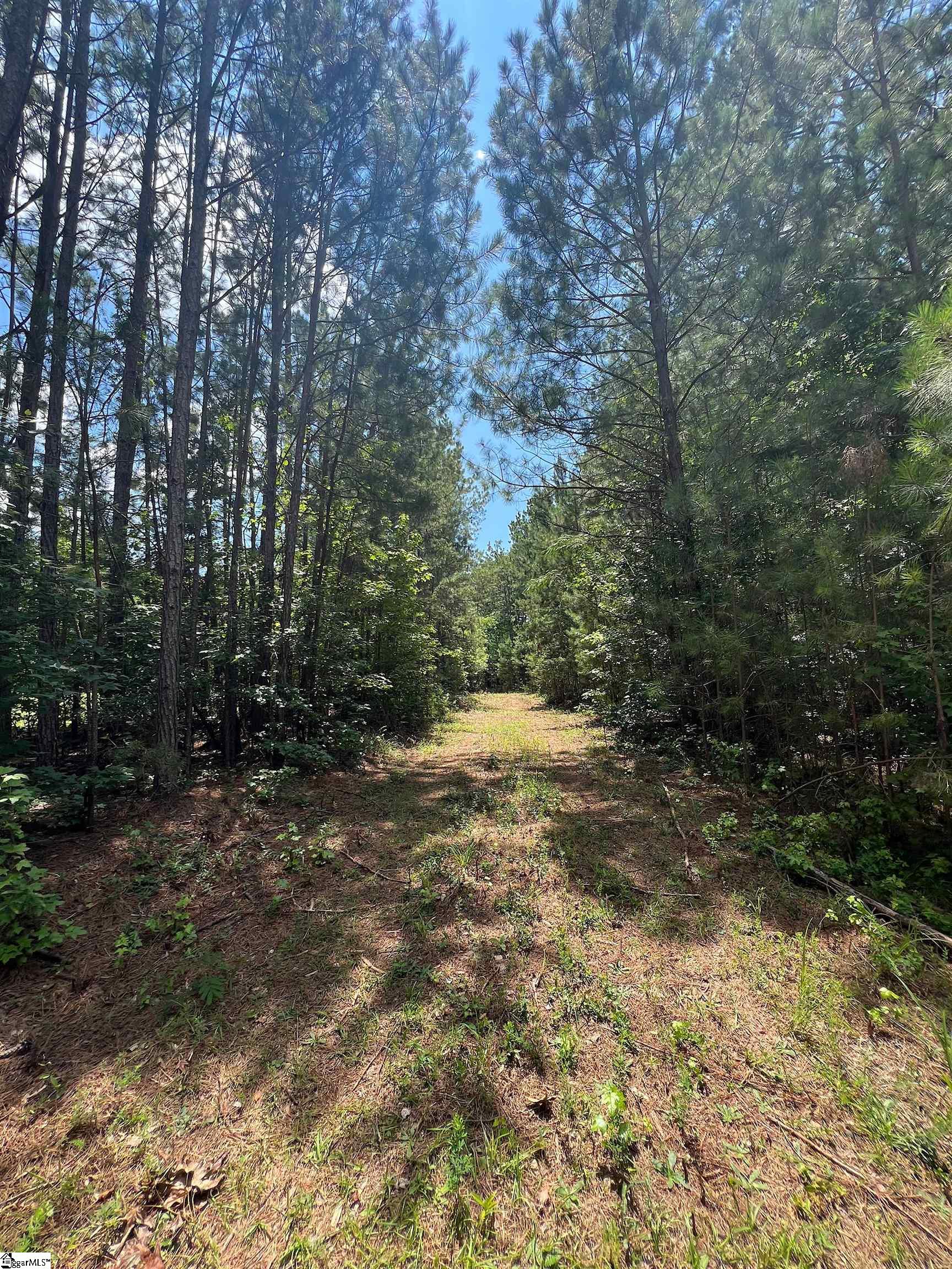 0 Woodbluff Road Laurens, SC 29360 - Photo 2 of 4