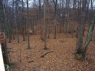 325 Turkey Ridge Road Wellington, KY 40387 - Photo 8 of 9 Photo 8
