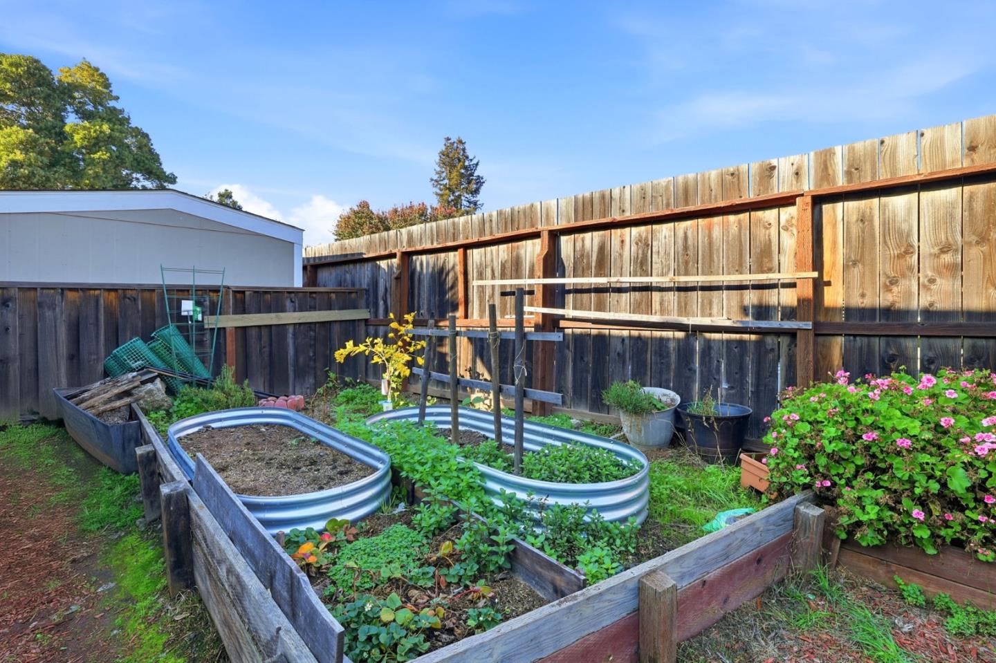 125 North Mary Avenue, Unit 17 Sunnyvale, CA 94086 - Photo 43 of 46 a view of a backyard with plants