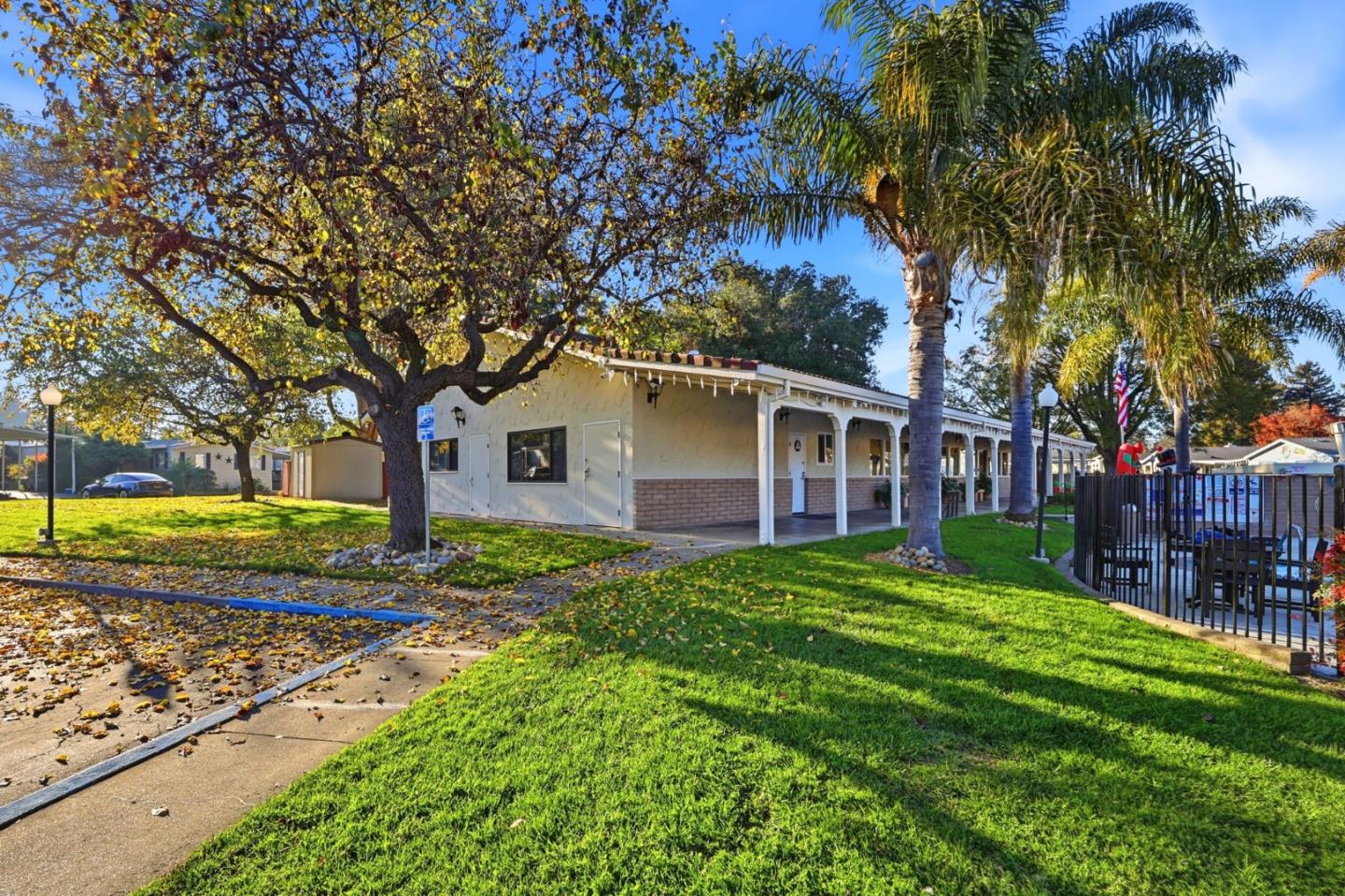 125 North Mary Avenue, Unit 17 Sunnyvale, CA 94086 - Photo 44 of 46 a view of a yard with a house and a tree