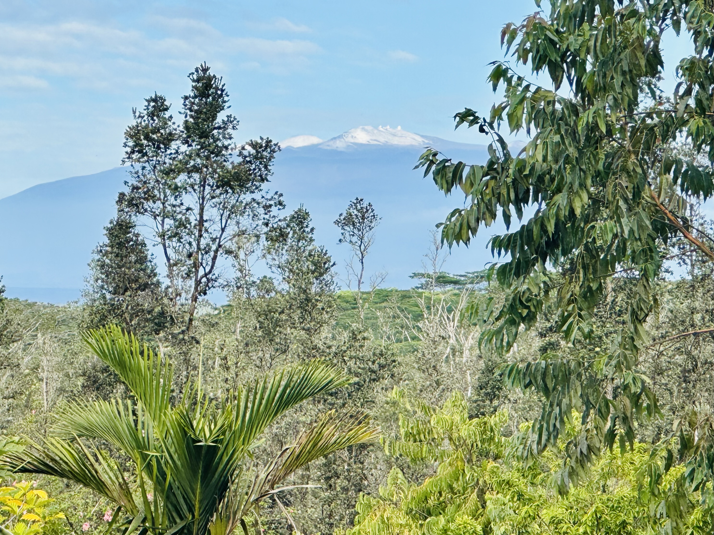 16-1151 Ao Road Mountain View, HI 96771 - Photo 28 of 30 Gallery Image 28