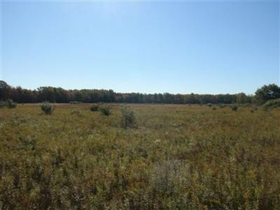 1 Leonard Road Spring Lake, MI 49456 - Photo 1 of 5 Primary Photo