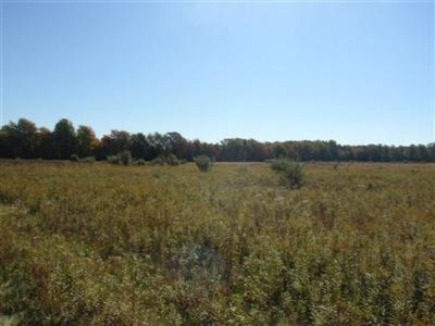 1 Leonard Road Spring Lake, MI 49456 - Photo 3 of 5 Additional Photo