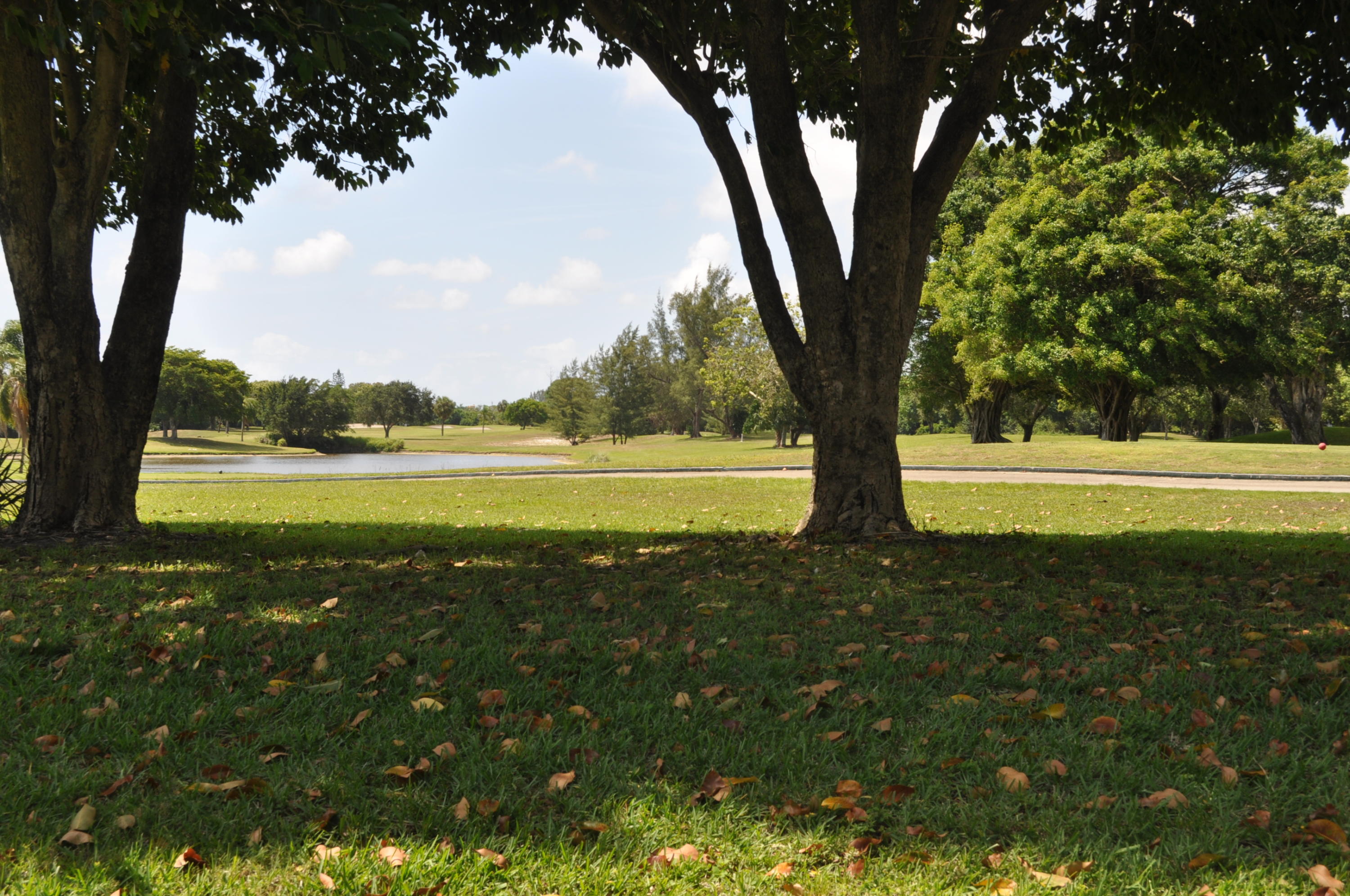 440 Northwest 67th Street, Unit H105 Boca Raton, FL 33487 - Photo 18 of 25 San de vance 016
