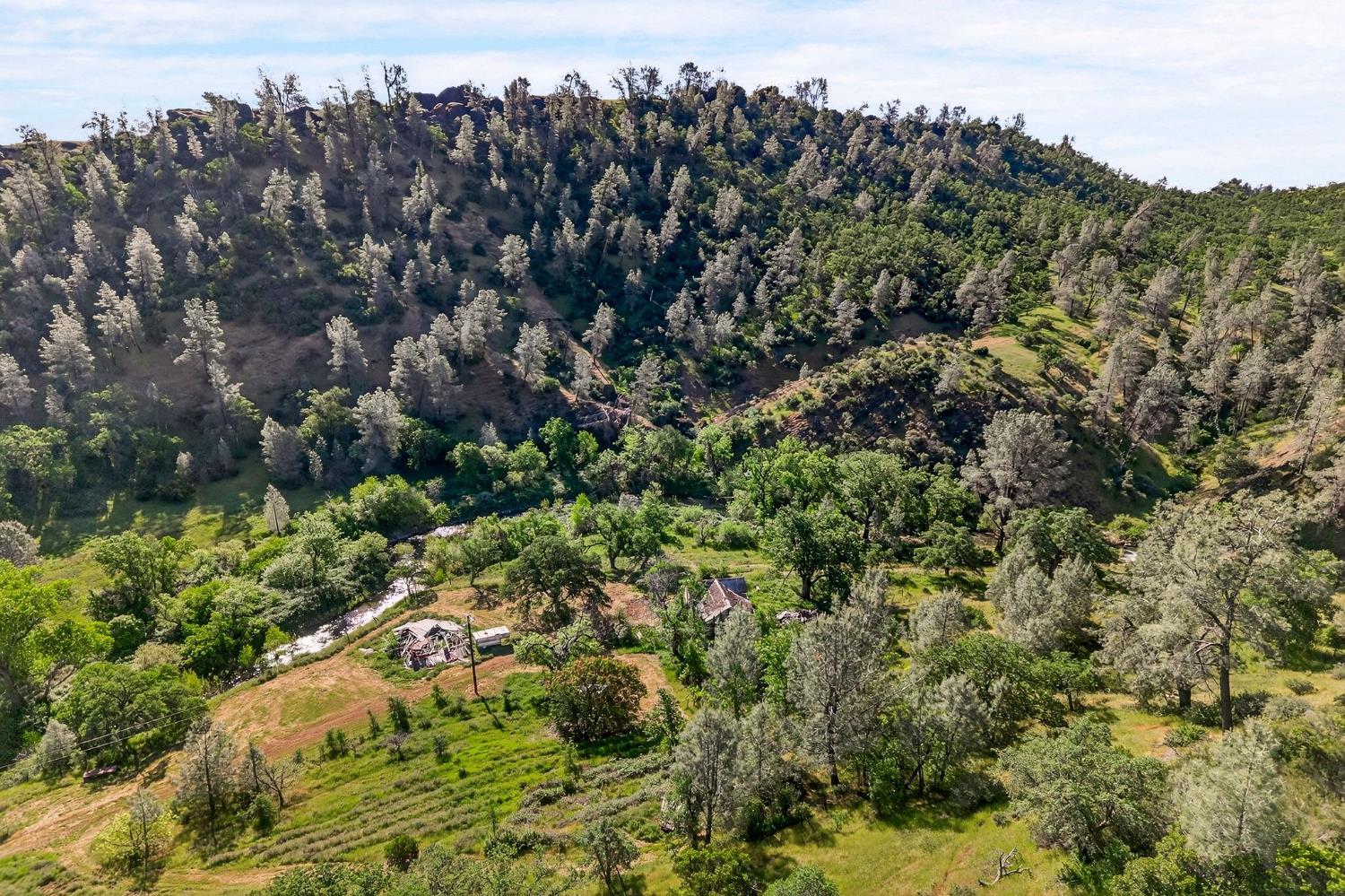 5595 Dream Valley Road Red Bluff, CA 96080 - Photo 20 of 22 a view of a bunch of trees and bushes