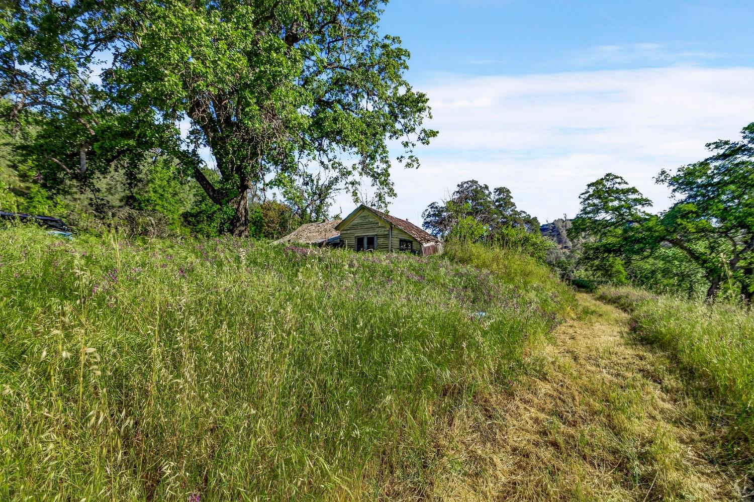 5595 Dream Valley Road Red Bluff, CA 96080 - Photo 5 of 22 a view of a lush green field