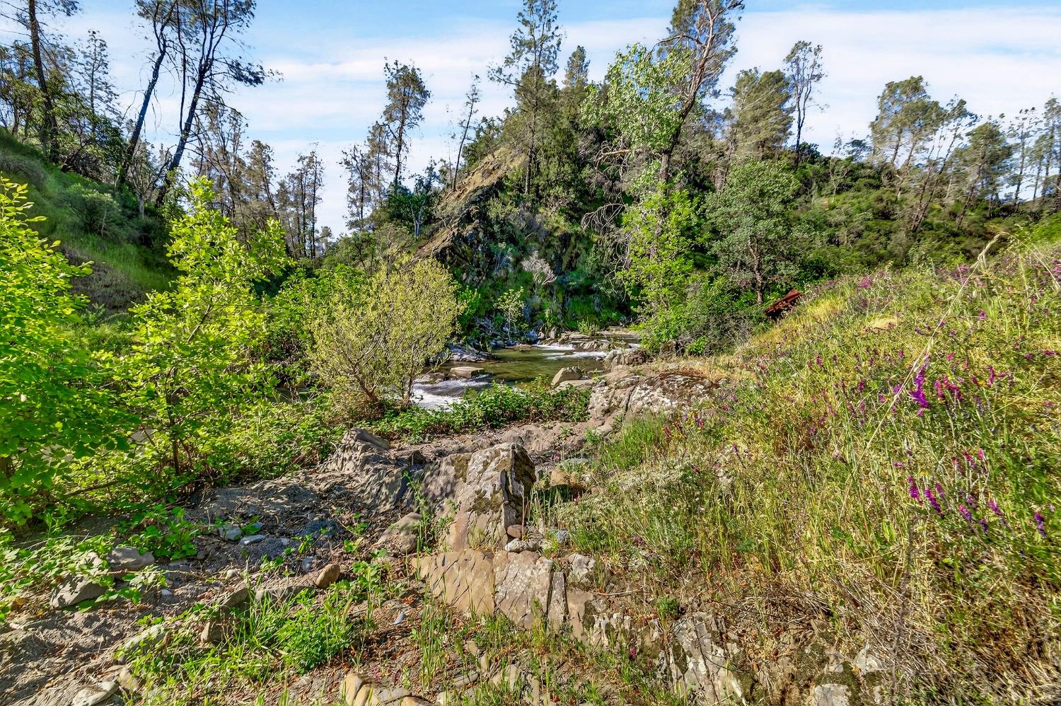 5595 Dream Valley Road Red Bluff, CA 96080 - Photo 6 of 22 a view of an outdoor space with a lake view