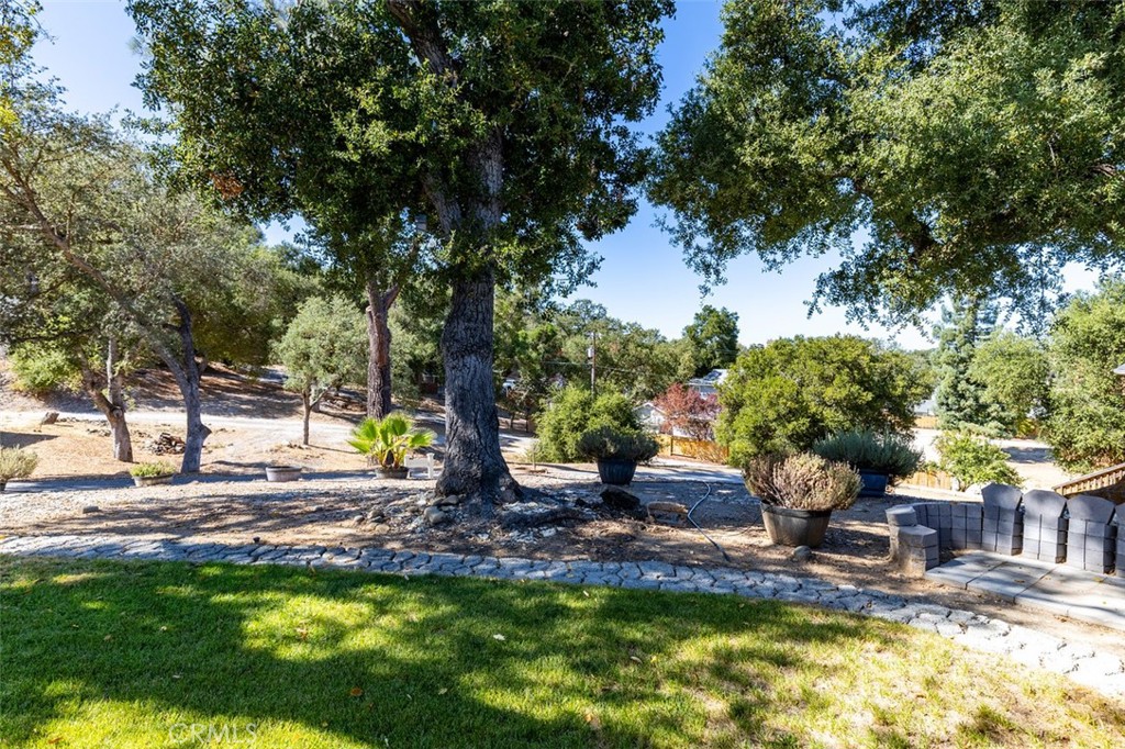 8070 Coromar Avenue Atascadero, CA 93422 - Photo 5 of 49 a view of a backyard with a tree