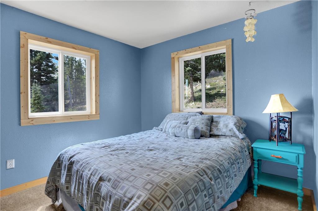 2593 Quartzville Road Alma, CO 80420 - Photo 13 of 35 Gallery Image 13