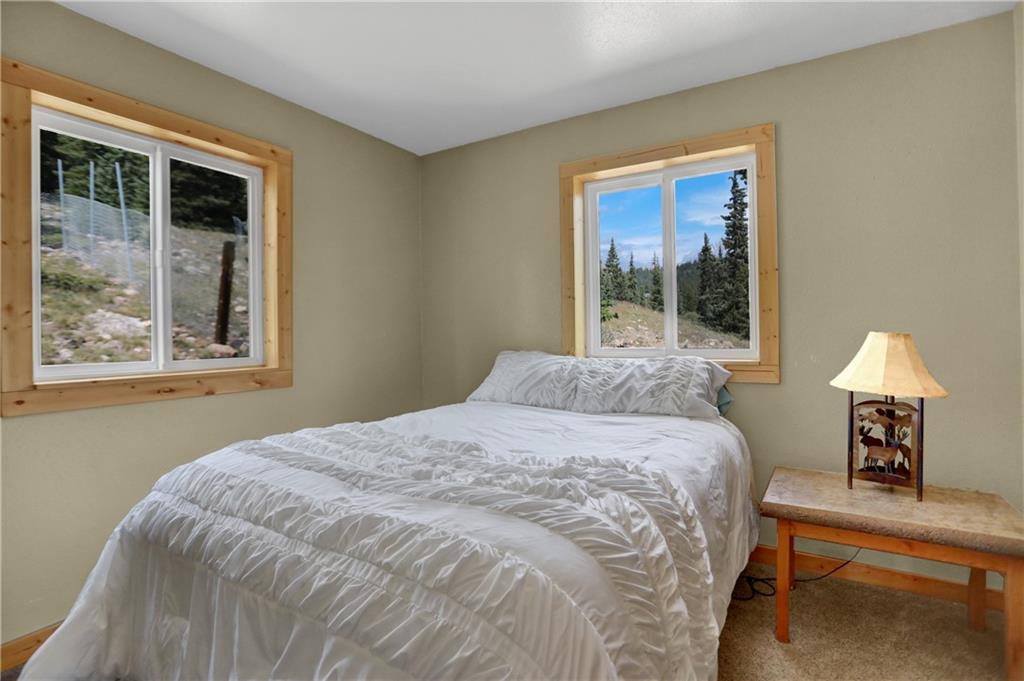 2593 Quartzville Road Alma, CO 80420 - Photo 15 of 35 Gallery Image 15