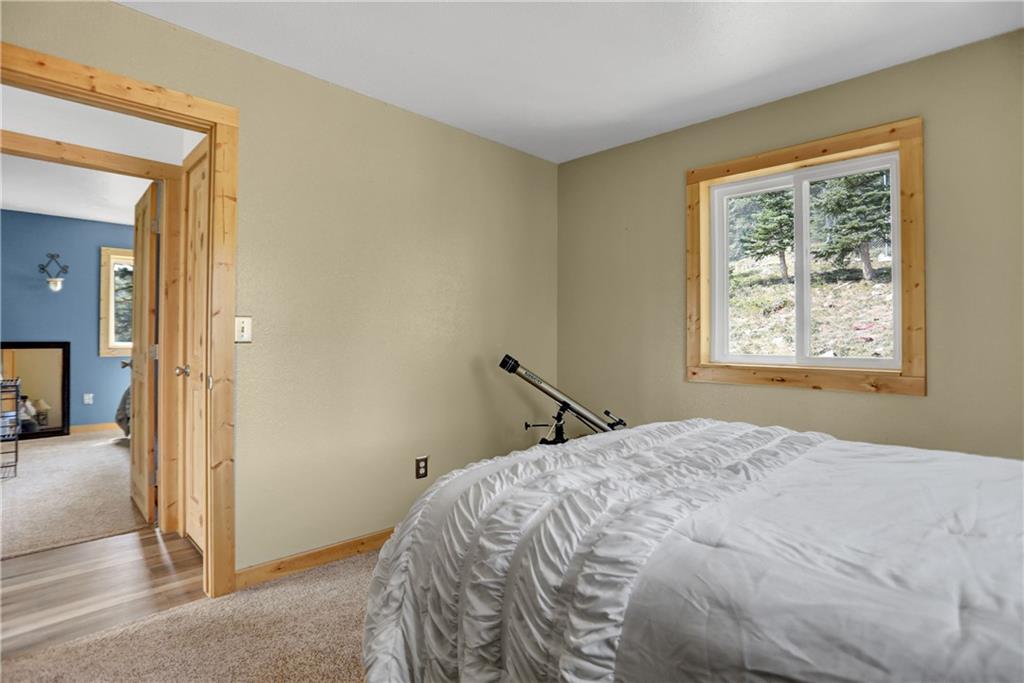 2593 Quartzville Road Alma, CO 80420 - Photo 16 of 35 Gallery Image 16