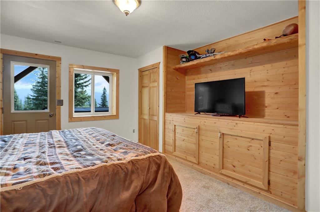 2593 Quartzville Road Alma, CO 80420 - Photo 20 of 35 Gallery Image 20