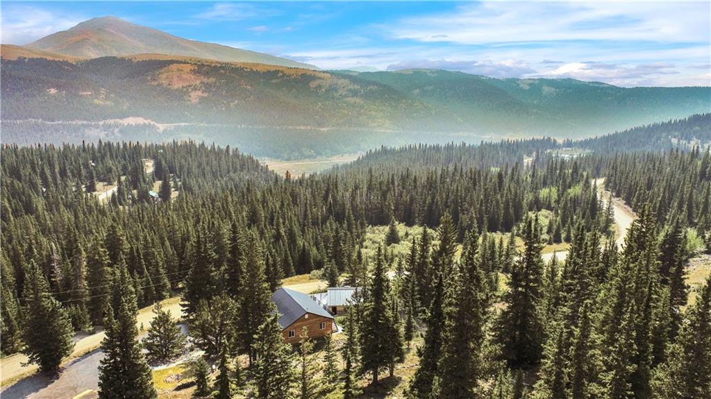 2593 Quartzville Road Alma, CO 80420 - Photo 3 of 35 Gallery Image 3