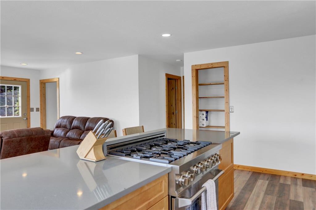 2593 Quartzville Road Alma, CO 80420 - Photo 6 of 35 Gallery Image 6