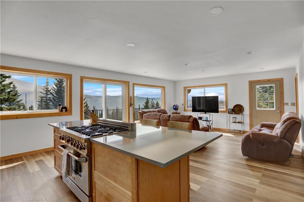 2593 Quartzville Road Alma, CO 80420 - Photo 8 of 35 Gallery Image 8