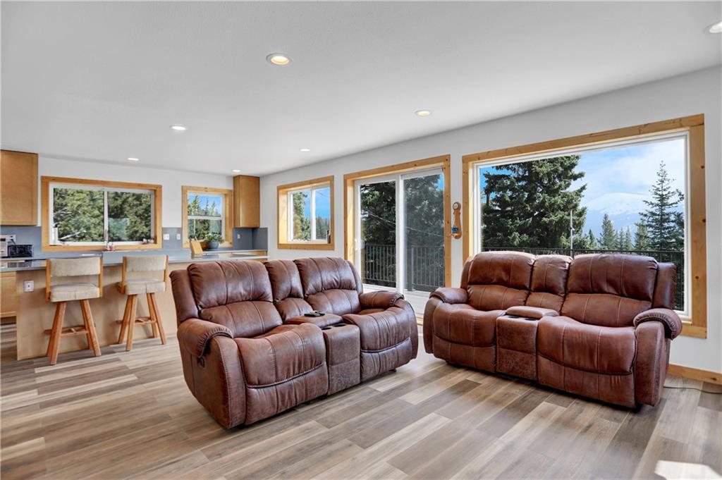 2593 Quartzville Road Alma, CO 80420 - Photo 9 of 35 Gallery Image 9