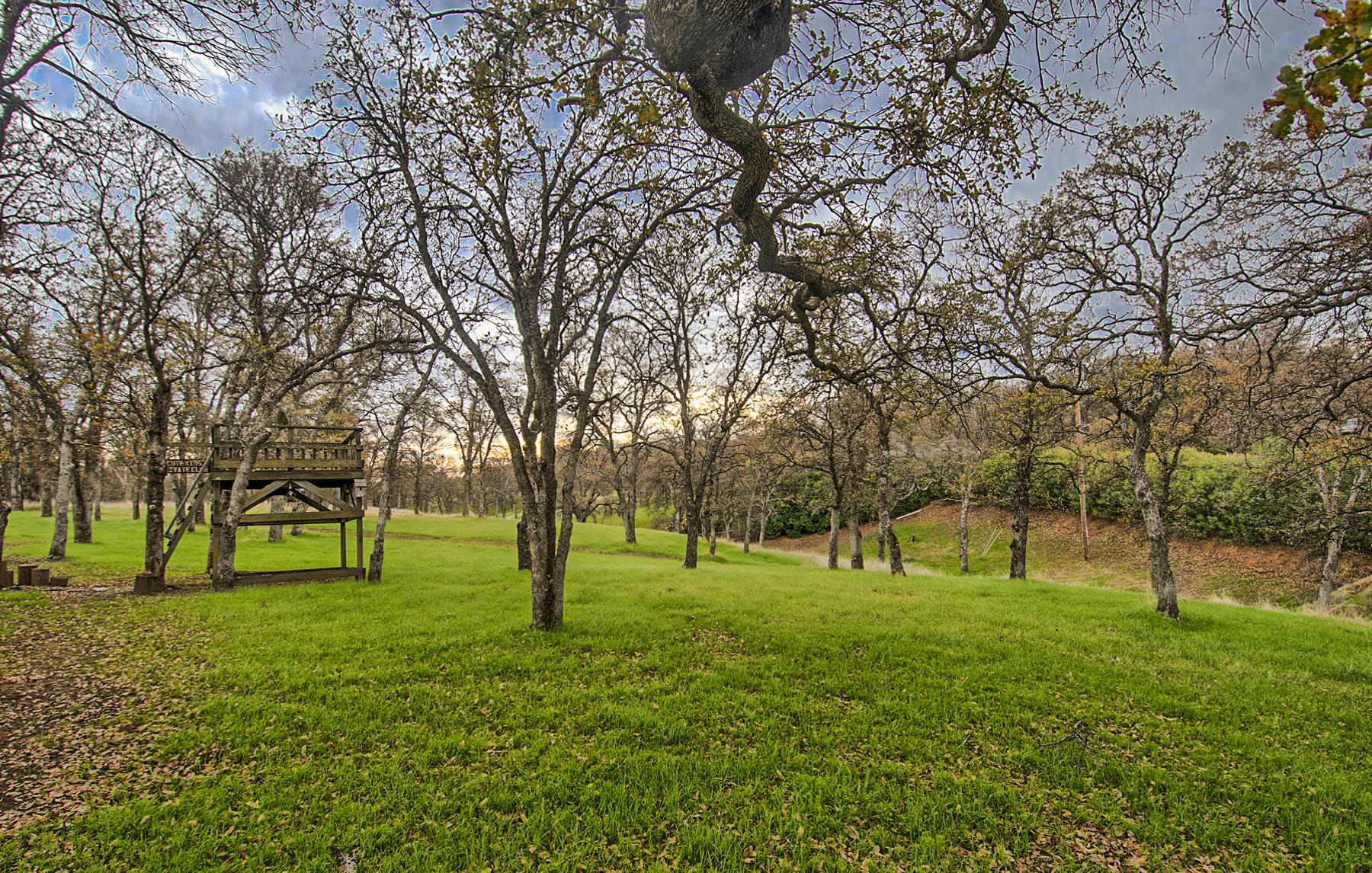 21495 Wilcox Road Red Bluff, CA 96080 - Photo 31 of 35 Tree Fort Among the Oaks