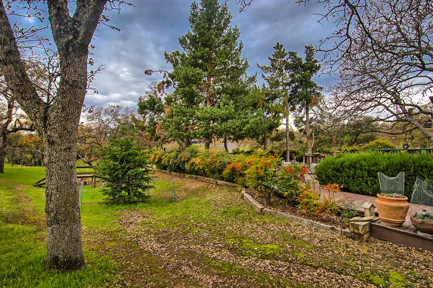 21495 Wilcox Road Red Bluff, CA 96080 - Photo 33 of 35 Natural Beauty-Landscape