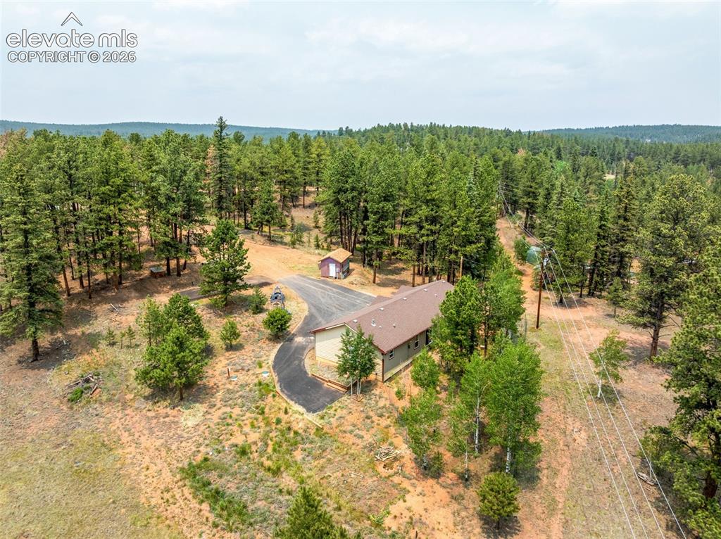 156 Fossil Creek Road Florissant, CO 80816 - Photo 41 of 47